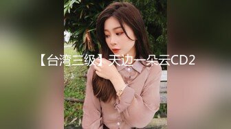 【台湾三级】天边一朵云CD2