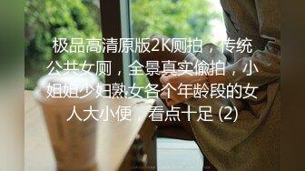 极品高清原版2K厕拍，传统公共女厕，全景真实偸拍，小姐姐少妇熟女各个年龄段的女人大小便，看点十足 (2)