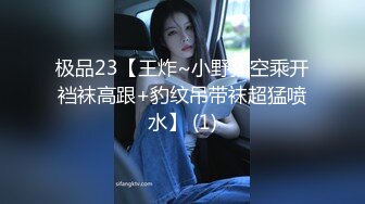 极品23【王炸~小野猫空乘开裆袜高跟+豹纹吊带袜超猛喷水】 (1)