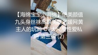 【海绵宝宝小海绵】绝美颜值九头身丝袜高跟美腿名媛网黄主人的玩具 OF大尺度性爱私拍 第三弹 (2)