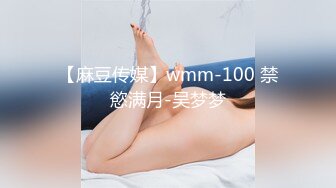 【麻豆传媒】wmm-100 禁慾满月-吴梦梦