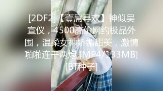 [2DF2]【壹屌寻欢】神似吴宣仪，4500高价网约极品外围，温柔女神娇媚甜美，激情啪啪连干两炮 [MP4/133MB][BT种子]