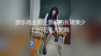 游乐场女厕全景偷拍长裙美少妇的无毛大肥鲍