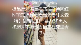 极品反差媚黑淫婊！推特网红NTR顶级绿帽崇黑骚妻【文森特】最新私拍，暴力3P黑人抱起来不懂怜香惜玉往死里肏 (3)