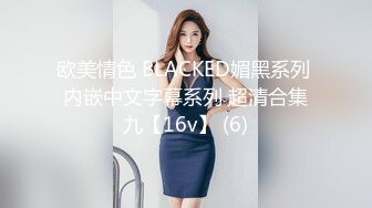 欧美情色 BLACKED媚黑系列 内嵌中文字幕系列 超清合集九【16v】 (6)