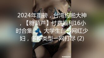 2024年重磅，台湾约啪大神，【糖葫芦】付费福利16小时合集上，大学生白领网红少妇，多种类型一网打尽 (2)