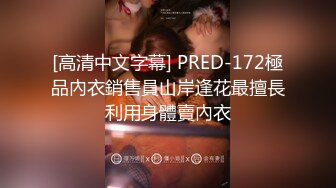 [高清中文字幕] PRED-172極品內衣銷售員山岸逢花最擅長利用身體賣內衣