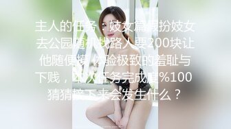 主人的任务：妓女篇假扮妓女去公园随机找路人要200块让他随便摸 体验极致的羞耻与下贱，本次任务完成度%100 猜猜接下来会发生什么？