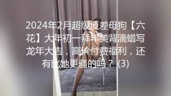 2024年2月超级反差母狗【六花】大年初一拜年美背滴蜡写龙年大吉，高价付费福利，还有比她更骚的吗？ (3)