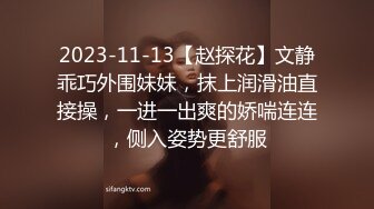 2023-11-13【赵探花】文静乖巧外围妹妹，抹上润滑油直接操，一进一出爽的娇喘连连，侧入姿势更舒服