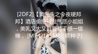 [2DF2]【黄先生之今夜硬邦邦】酒店偷拍短发气质小姐姐，美乳又大又挺看着手感一级棒， [MP4/145MB][BT种子]