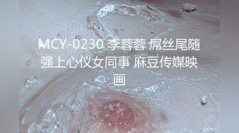 MCY-0230 李蓉蓉 屌丝尾随强上心仪女同事 麻豆传媒映画