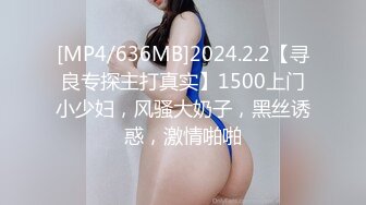 [MP4/636MB]2024.2.2【寻良专探主打真实】1500上门小少妇，风骚大奶子，黑丝诱惑，激情啪啪