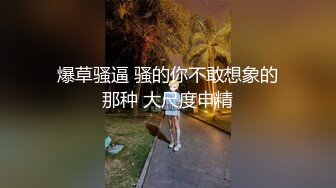 爆草骚逼 骚的你不敢想象的那种 大尺度申精