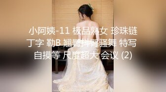 小阿姨-11 极品熟女 珍珠链丁字 勒B 翘臀抖臀骚舞 特写 自摸等 尺度超大 会议 (2)