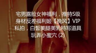 宅男露脸女神福利，推特S级身材反差福利姬【挽风】VIP私拍，白皙美腿美乳特写道具玩弄小蜜穴 (2)