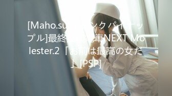 [Maho.sub][ピンクパイナップル]最終痴漢電車NEXT Molester.2「お前は最高の女だ」[PSP]