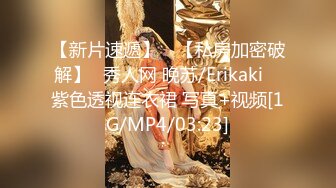 【新片速遞】 ⭐【私房加密破解】✨秀人网 晚苏/Erikaki✨ 紫色透视连衣裙 写真+视频[1G/MP4/03:23]